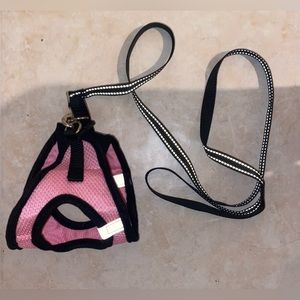 Dog harness & leash